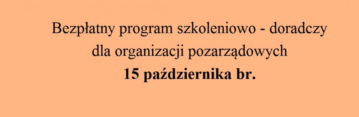 program szkoleniowo-doradczy dla ngo