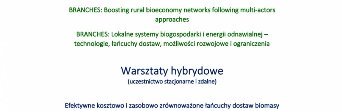 Warsztaty sieci BRANCHES 