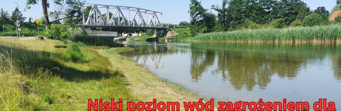 Rzeka Pisa,  poziom wód, susza