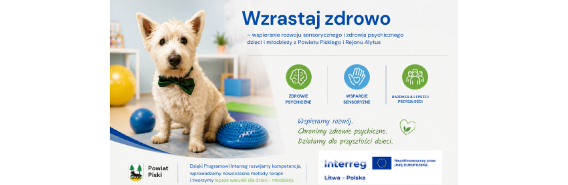 plakat artykułu