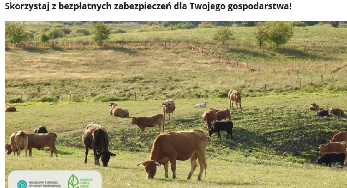 Pastwisko, krowy, odszkodowanie