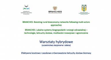 Warsztaty sieci BRANCHES 