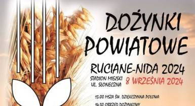Plakat, dożynki, kłos zboża