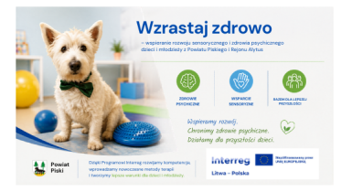 plakat artykułu