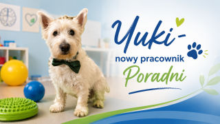 Yuki piesek do dogoterapii